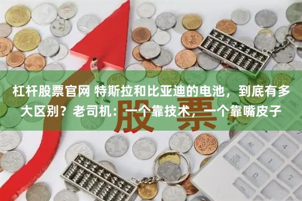 杠杆股票官网 特斯拉和比亚迪的电池，到底有多大区别？老司机：一个靠技术，一个靠嘴皮子